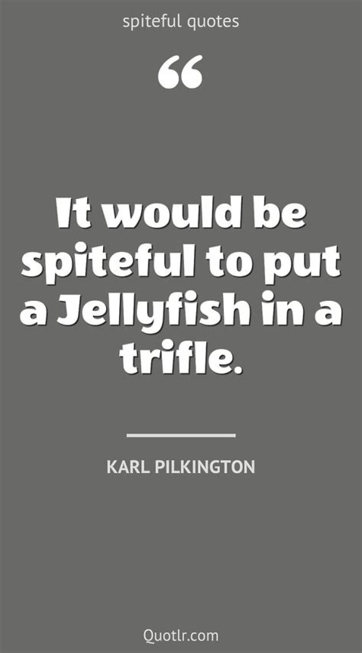 39 Quotes About Being Spiteful