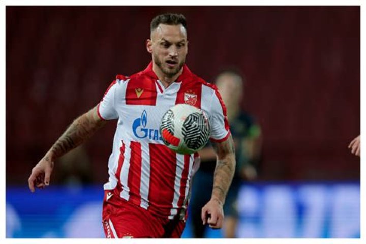 Marko Arnautović Fortune